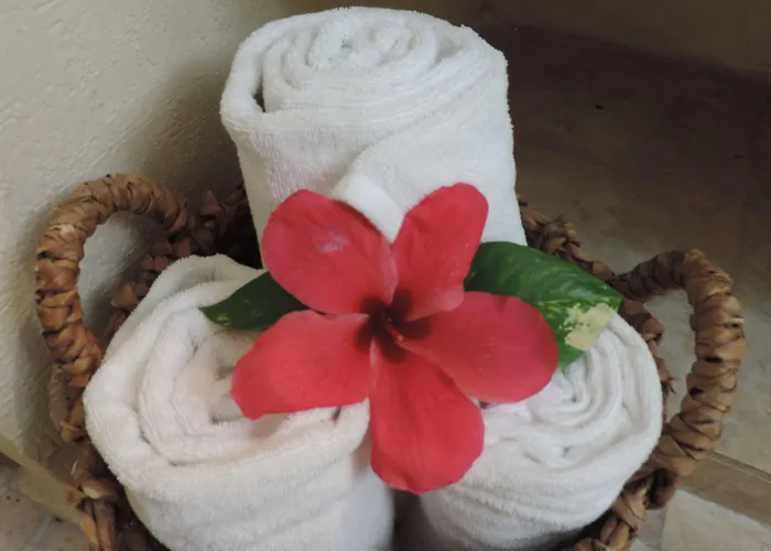 Hotel Hacienda Del Caribe 3*